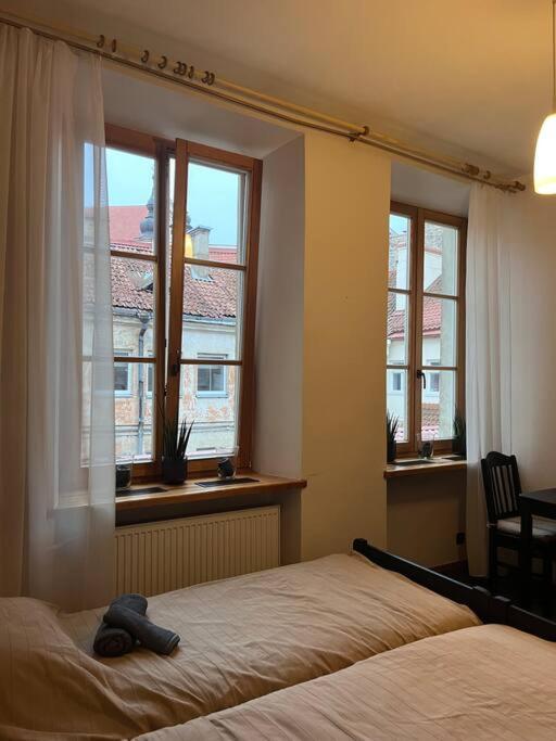 Vilnius Old Town Coziness Apartman Kültér fotó