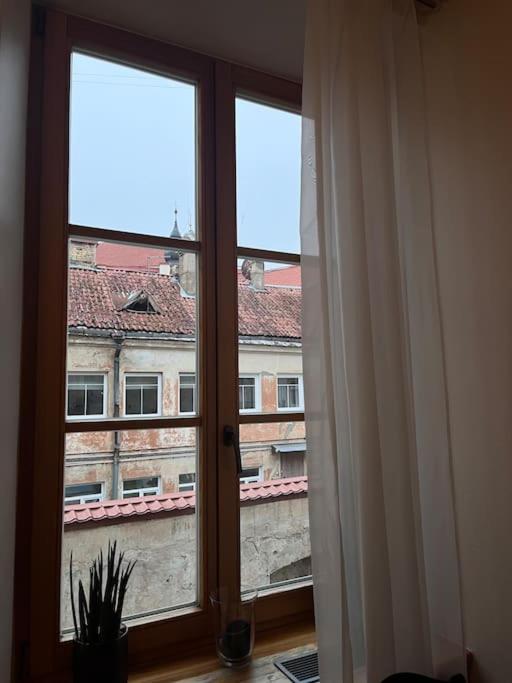 Vilnius Old Town Coziness Apartman Kültér fotó